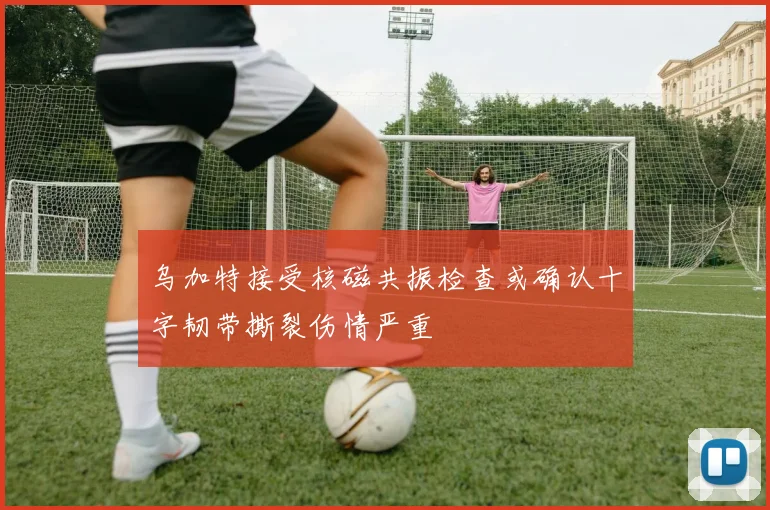 乌加特接受核磁共振检查或确认十字韧带撕裂伤情严重